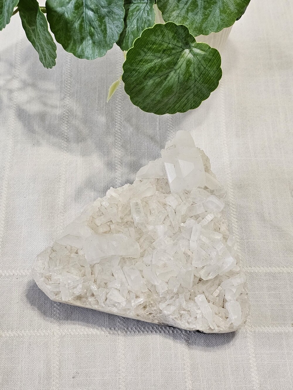 Large Natural White Apophyllite Crystal Cluster on Dark Matrix – 6-Inch Mineral